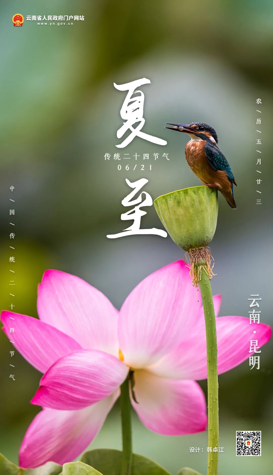 云南省人民政府网