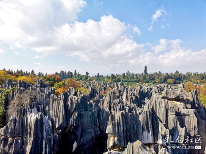 昆明信息港/cnkmxxg