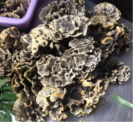 昆明五华发布