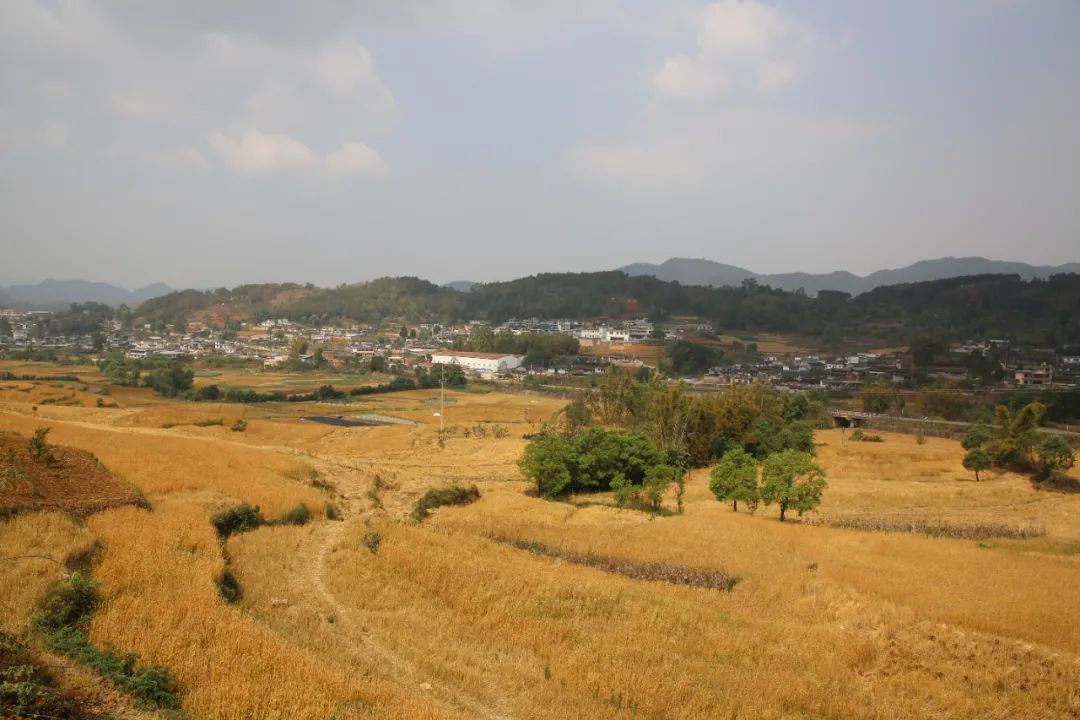 云南省人民政府网