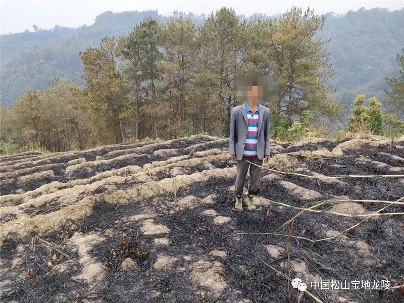 保山新闻网