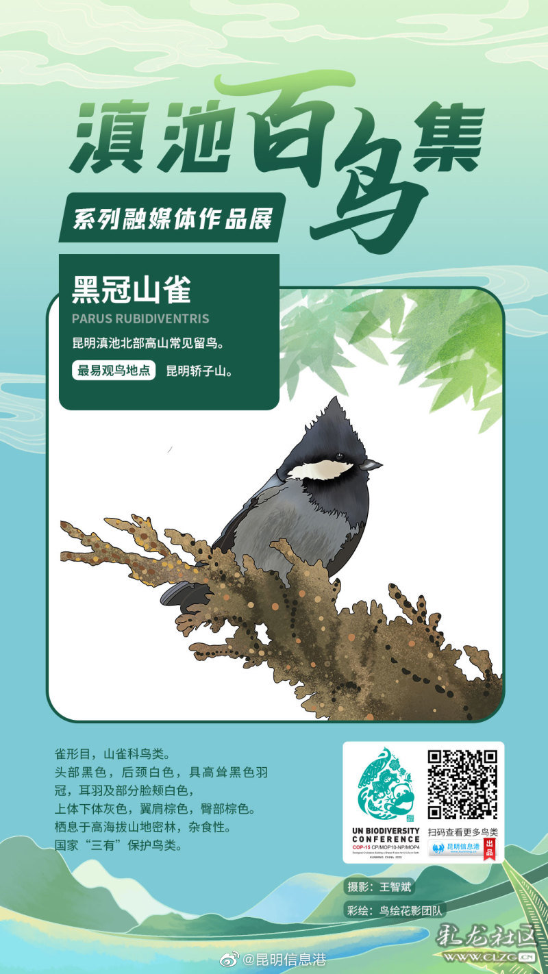 昆明信息港