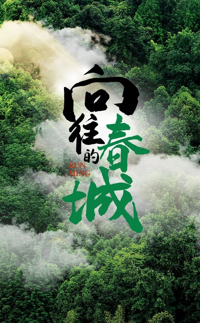 云南省文化和旅游厅