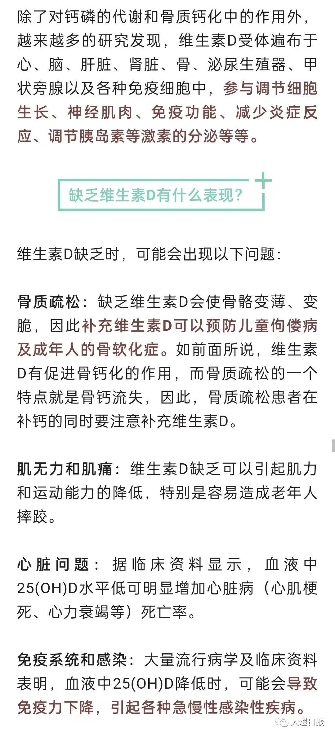大理日报