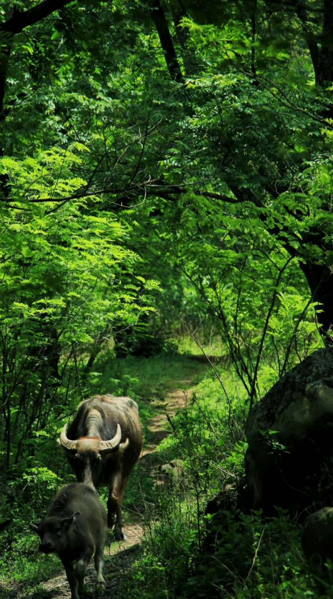 昆明文旅