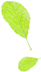 大理白族自治州人民医院	