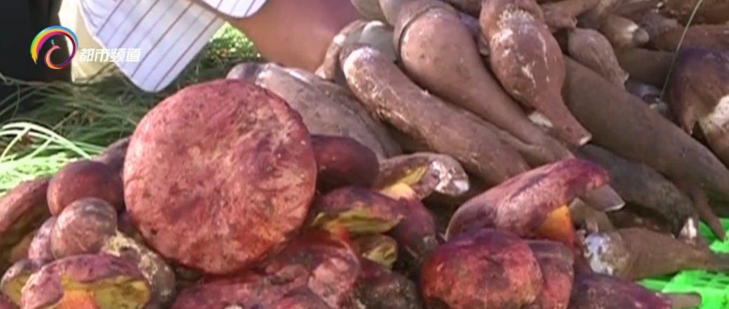 昆明信息港/cnkmxxg