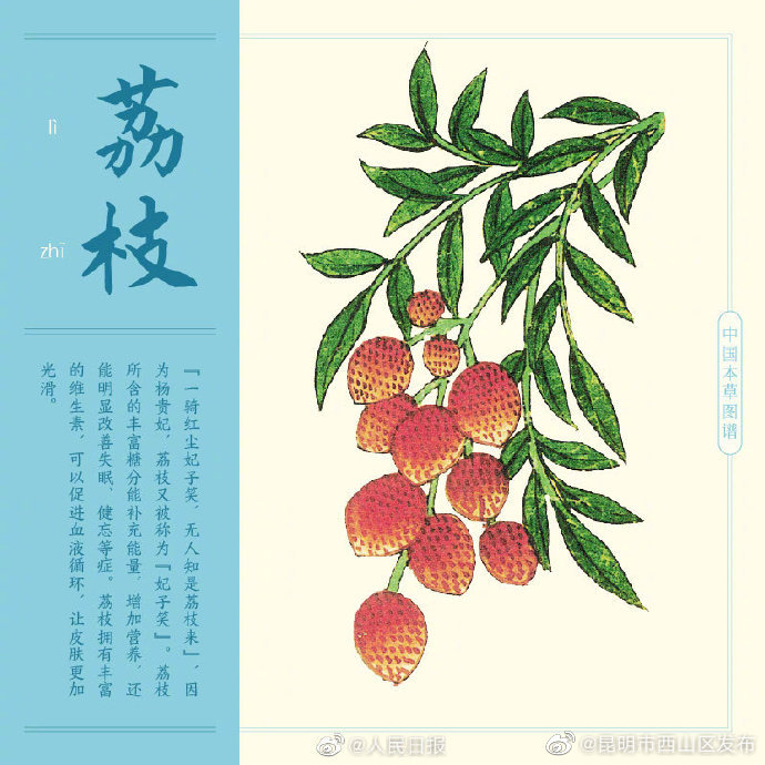 昆明市西山区发布