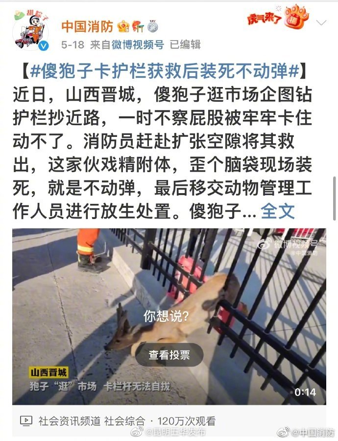 “昆明五华发布”微博