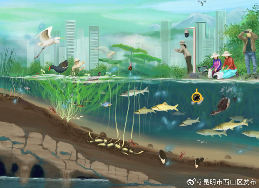 昆明市西山区发布