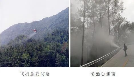 东川发布(微信)