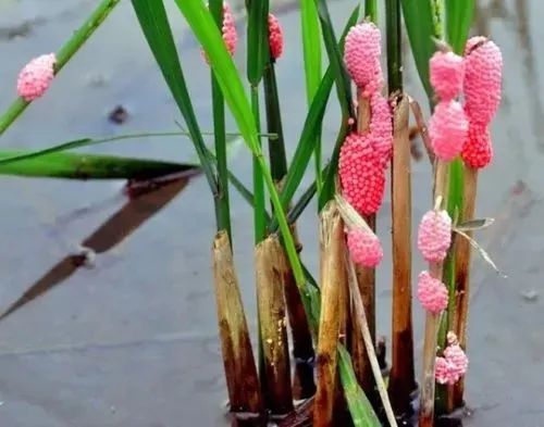 云南疾控
