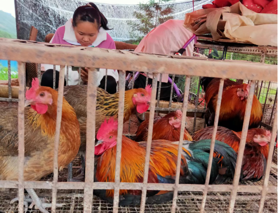 昆明五华发布