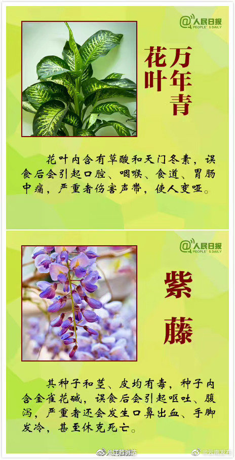 “云南发布”微博