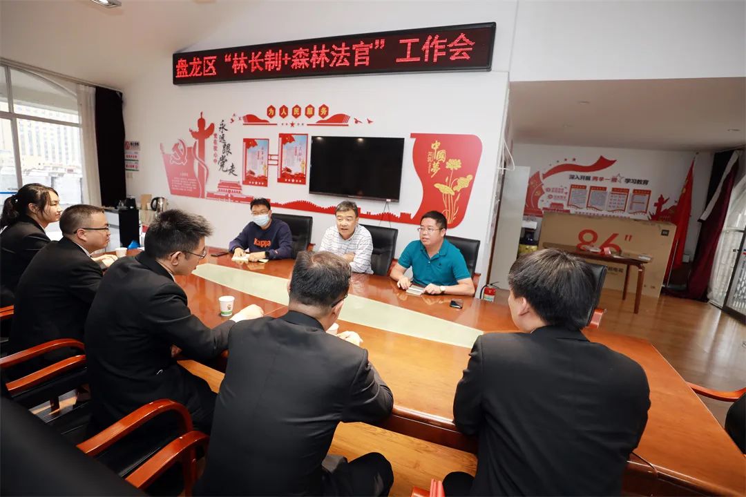 微观盘龙