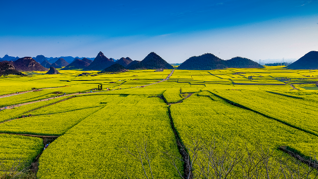 云南省文化和旅游厅