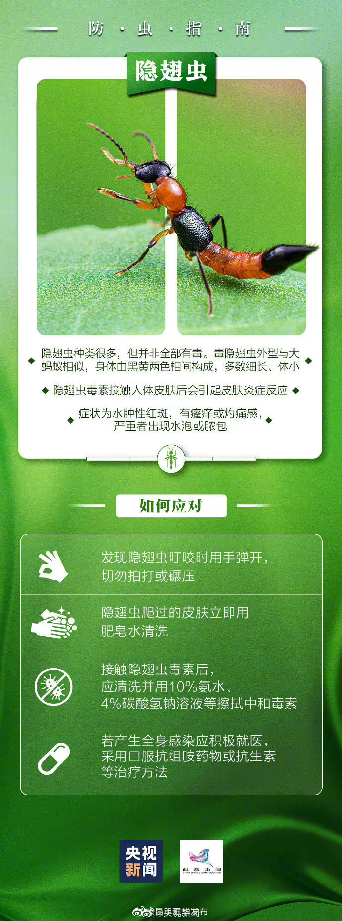 “昆明五华发布”微博