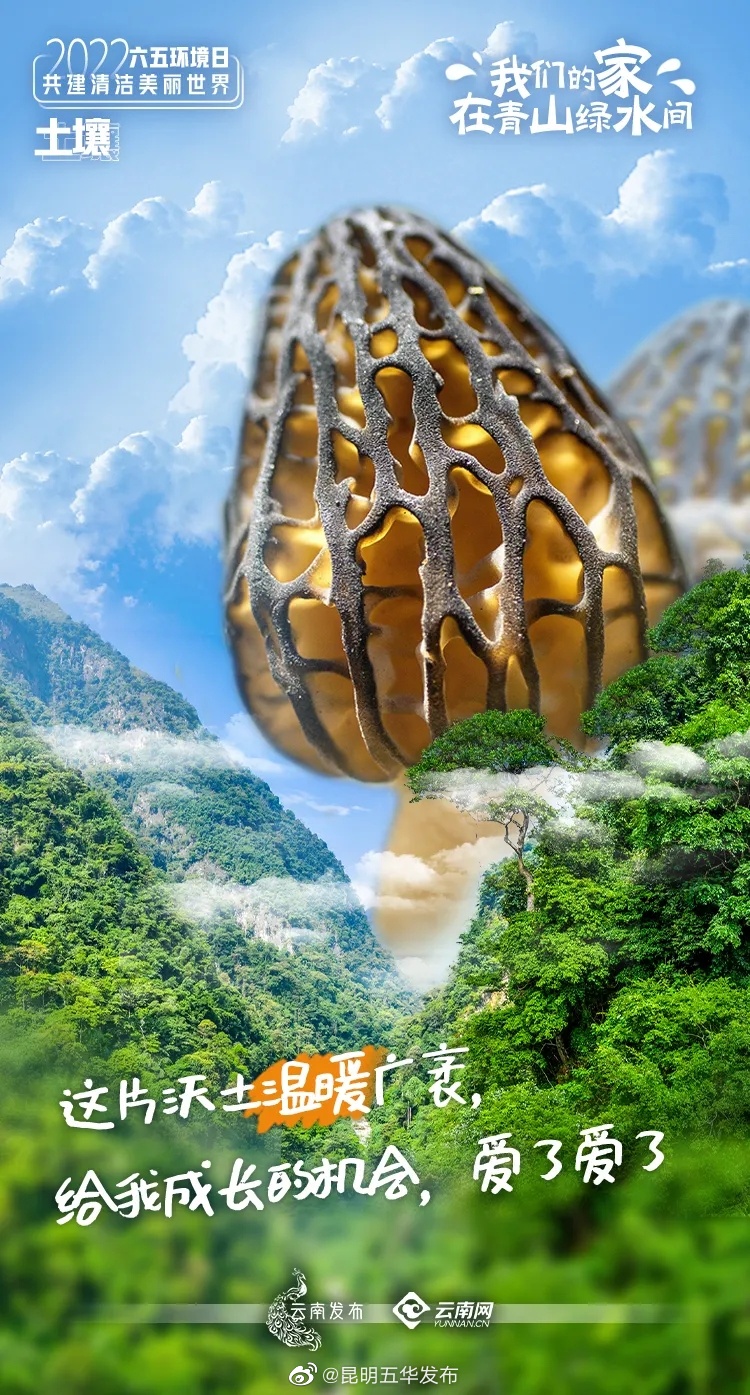 “昆明五华发布”微博