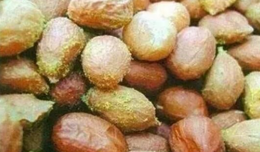 呈贡区文化和旅游局