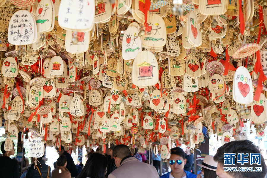 云南省文化和旅游厅