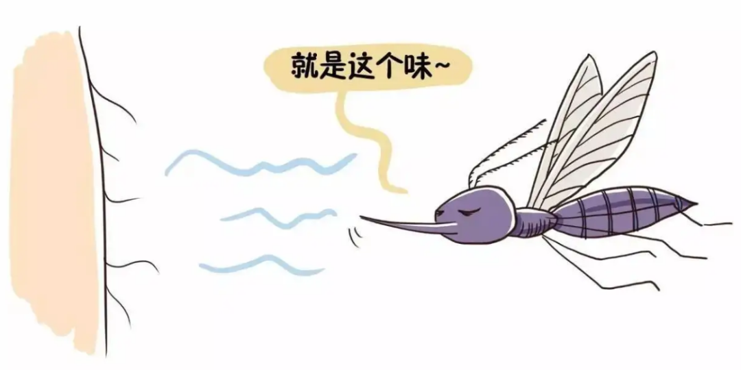 美丽云南微科普