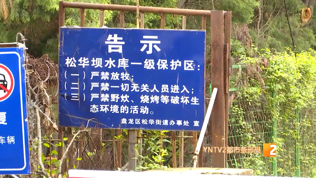 春城晚报