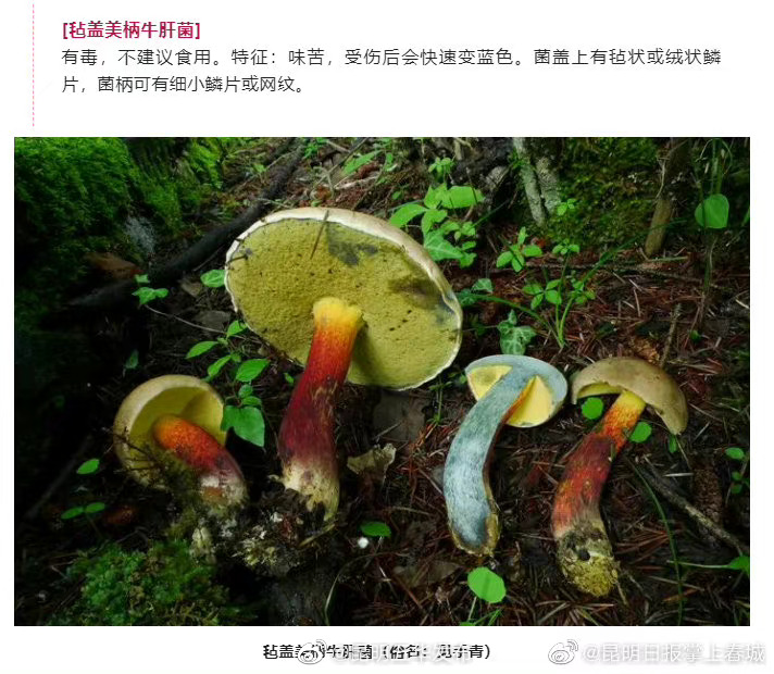 “昆明五华发布”微博
