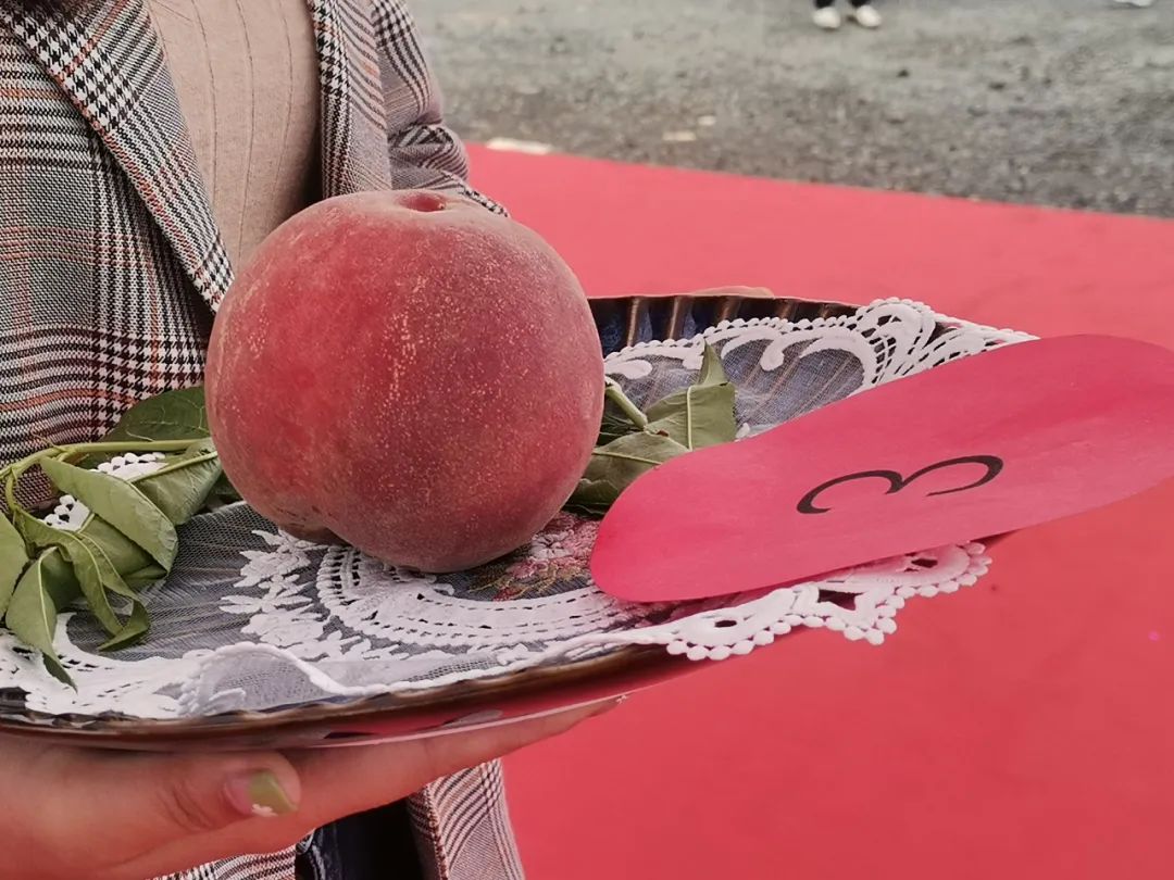 昆明信息港/cnkmxxg