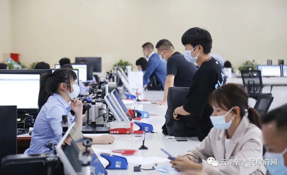云南省人民政府网