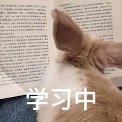盘龙人社(微信)