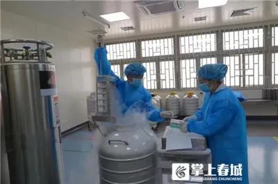 掌上春城