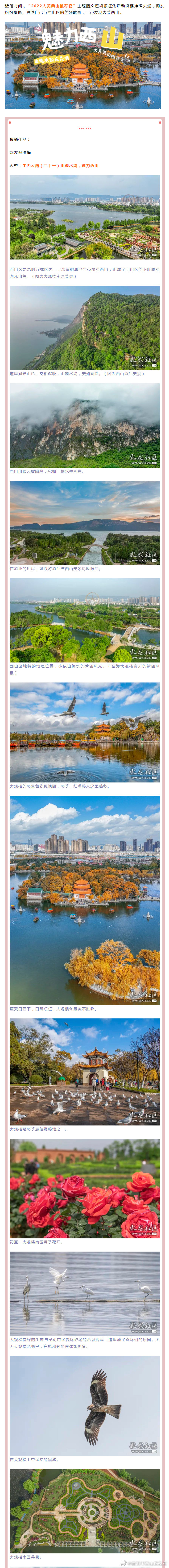 昆明市西山区发布