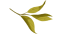 东川新闻