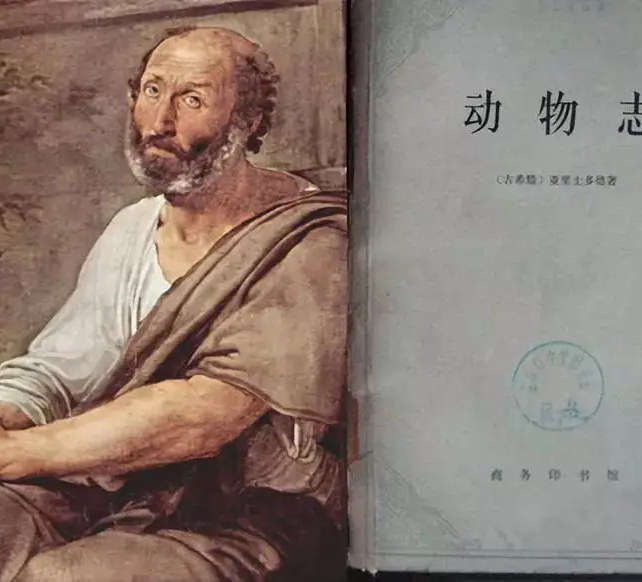 昆明动物园