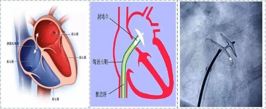 云南省中医医院