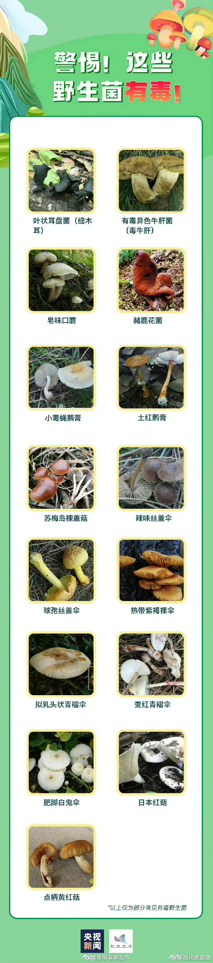 “昆明五华发布”微博