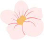 普洱市人民医院