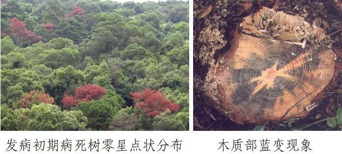 东川发布(微信)