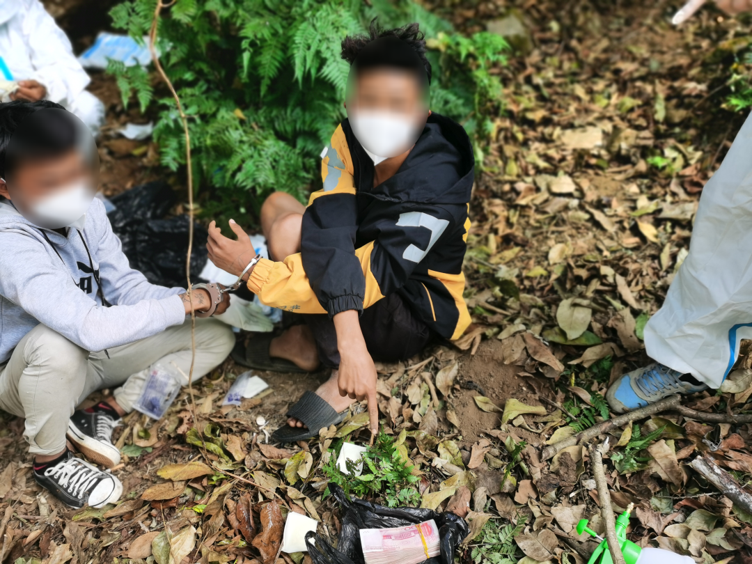 昆明信息港/cnkmxxg