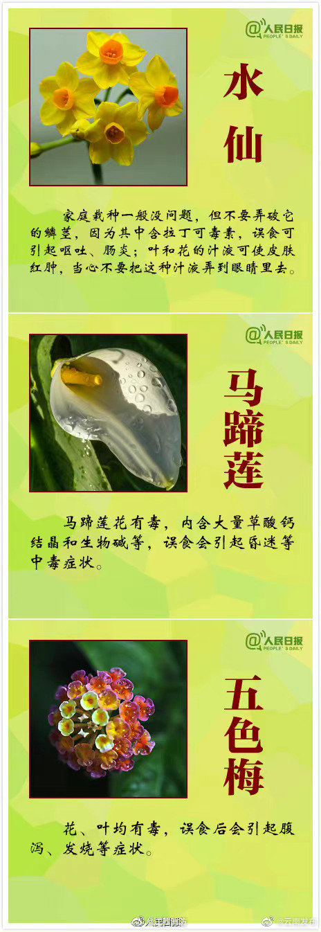 “云南发布”微博