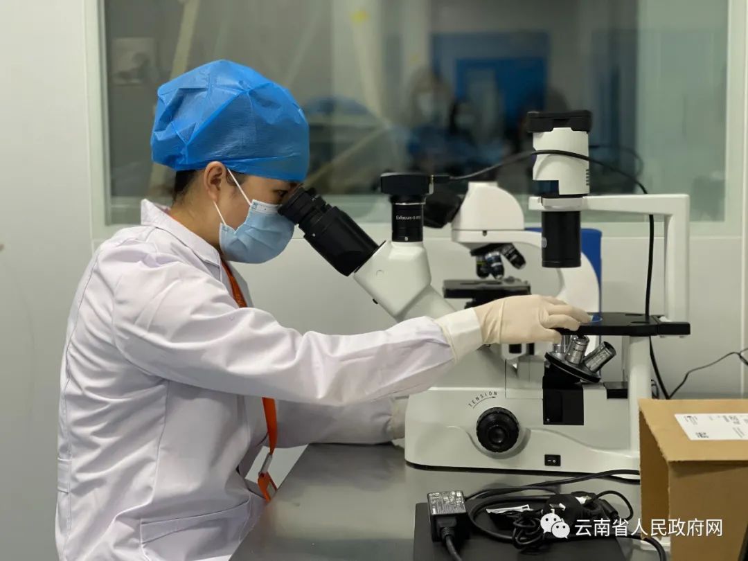 云南省人民政府网