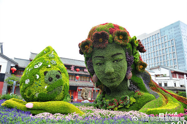 昆明市西山区发布