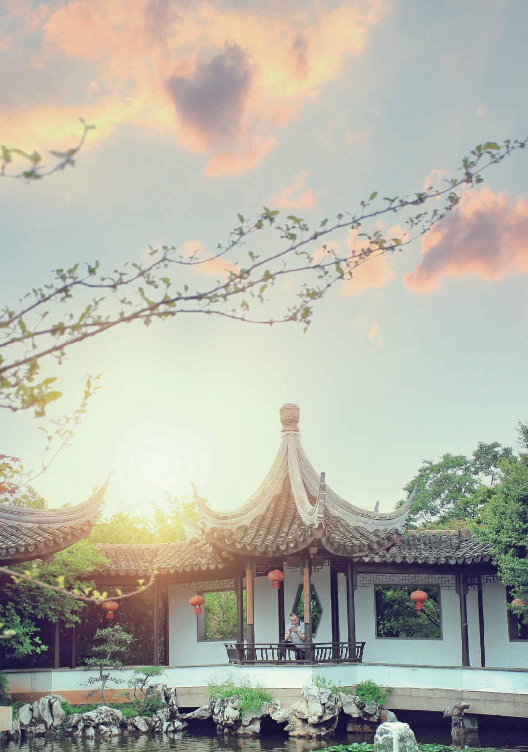 微观盘龙