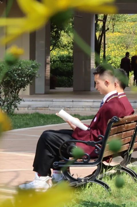 盘龙教育(微信)