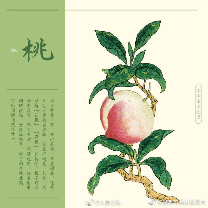 昆明市西山区发布