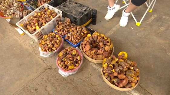 昆明信息港/cnkmxxg