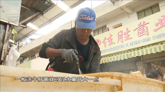 昆明信息港/cnkmxxg