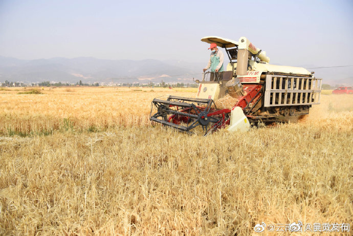 云南推出保障“十四五”农机作业用油系列惠农助农举措