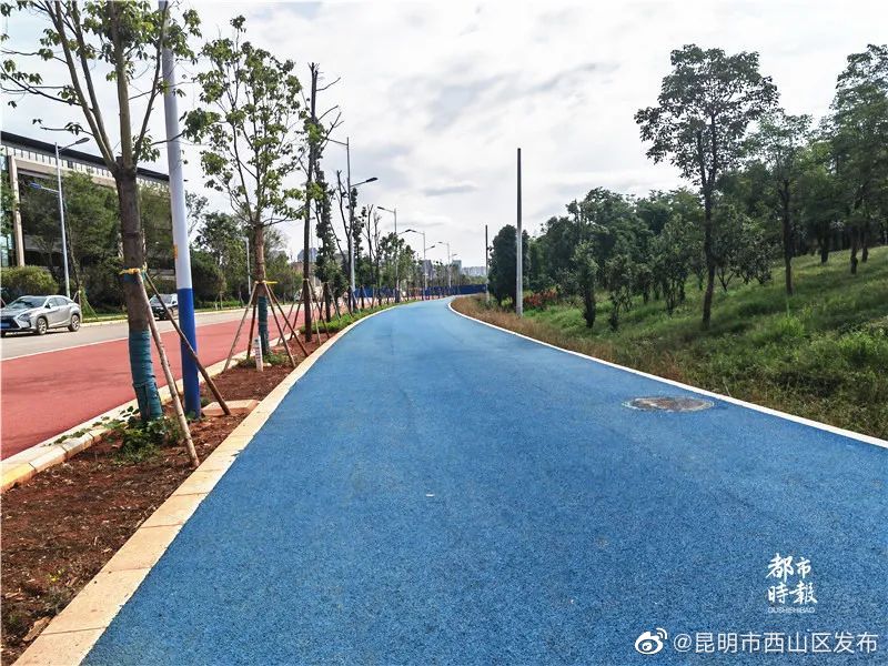 昆明市西山区发布