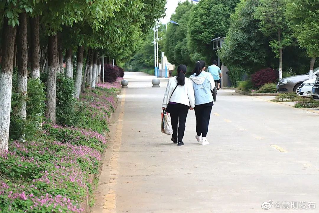 嵩明发布